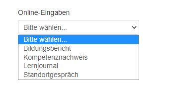 Online Eingabe